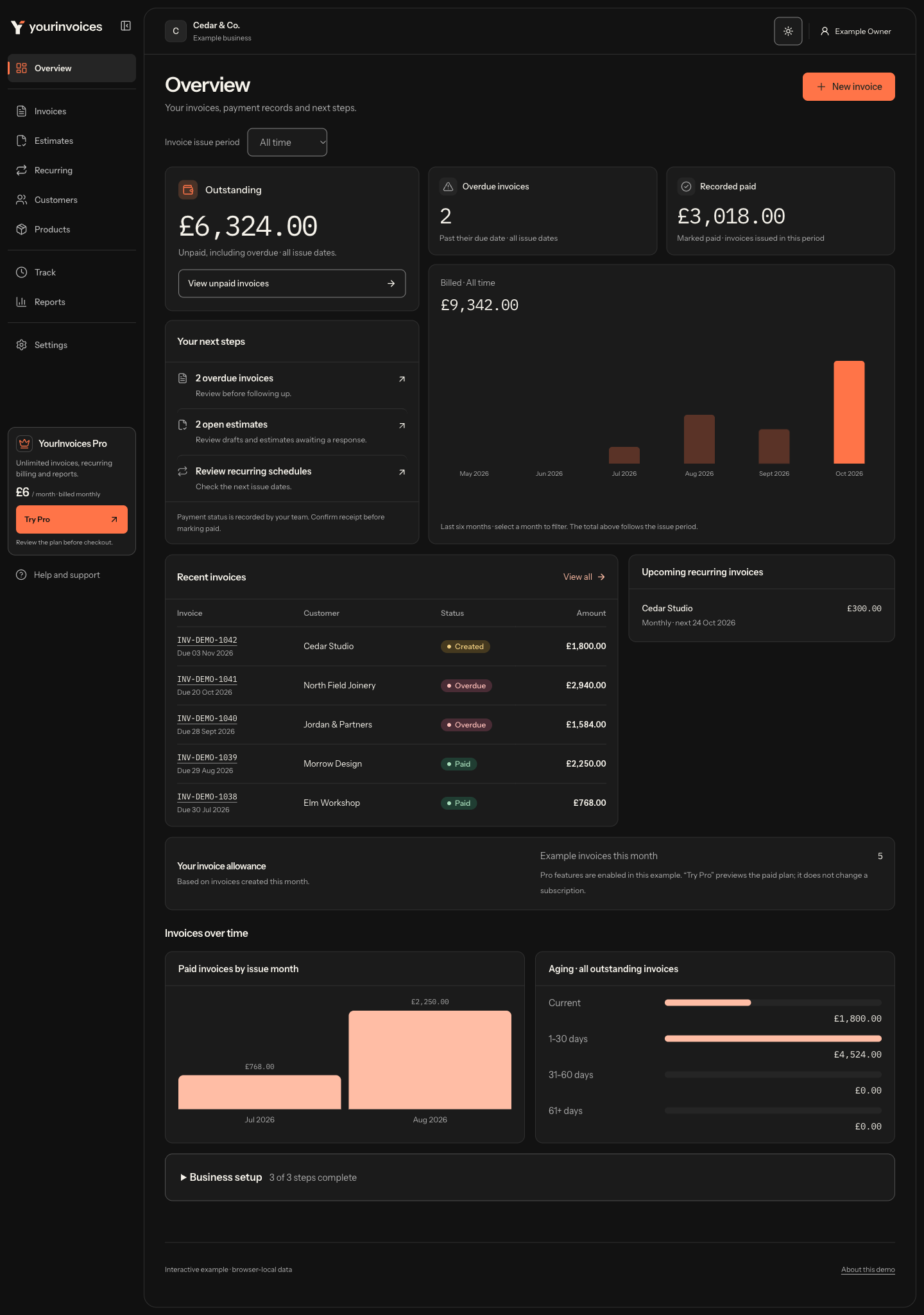 Redesigned charcoal overview with fictional invoice totals, next steps and a bottom-left Try Pro panel.